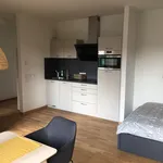 Miete 1 Schlafzimmer wohnung von 36 m² in Ulm