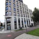 Rent 1 bedroom apartment in Antwerpen