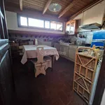 Rent 3 bedroom apartment of 60 m² in Pisa