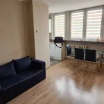 Rent 2 bedroom apartment of 34 m² in Będzin