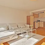 Rent 2 bedroom apartment of 120 m² in Bremen