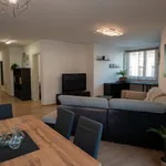 Miete 3 Schlafzimmer wohnung von 1292 m² in Vienna