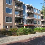 Rent 2 bedroom apartment of 70 m² in Groningen