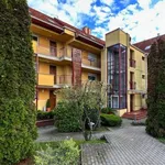 Rent 4 bedroom apartment of 126 m² in Eger