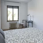 Rent a room in Madrid