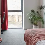 Rent 1 bedroom apartment in Coventry