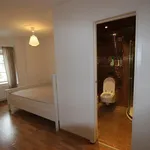 Rent 1 bedroom apartment of 45 m² in Capital City of Prague