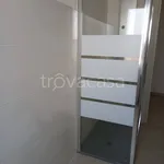 Rent 1 bedroom apartment of 100 m² in Colorno