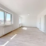 Pronajměte si 1 ložnic/e byt o rozloze 44 m² v Pilsen