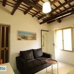 Rent 2 bedroom apartment of 35 m² in Trapani