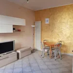 Rent 1 bedroom apartment in Turin