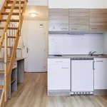 Rent 1 bedroom apartment in Brno