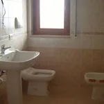 Rent 3 bedroom apartment of 60 m² in Taranto