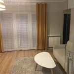 Rent 1 bedroom apartment of 33 m² in Frankfurt