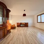 Rent 3 bedroom apartment of 109 m² in Prague