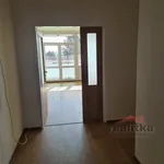 Rent 3 bedroom apartment in Opava