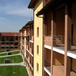 Rent 3 bedroom apartment of 108 m² in San Martino Siccomario