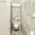 Pronajměte si 2 ložnic/e byt o rozloze 64 m² v Praha