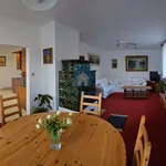 Rent 3 bedroom apartment of 74 m² in Pilsen