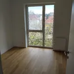 Rent 5 bedroom apartment of 135 m² in Graz