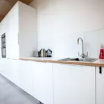 Rent 2 bedroom apartment of 120 m² in dublin