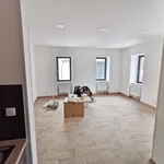 Rent 3 bedroom apartment of 85 m² in Ústí nad Labem