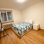 Miete 1 Schlafzimmer wohnung von 667 m² in Basel