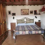 Rent 3 bedroom apartment of 80 m² in Borgo San Lorenzo