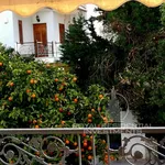 Rent 3 bedroom apartment of 110 m² in Greece