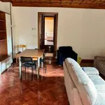 Rent 4 bedroom apartment of 90 m² in Bologna