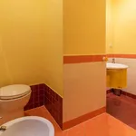 Rent 1 bedroom apartment in Rome