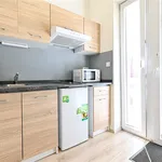 Rent 1 bedroom apartment in Brno