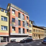 Rent 2 bedroom apartment of 38 m² in České Budějovice