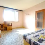 Rent 1 bedroom apartment of 38 m² in Hradec Králové