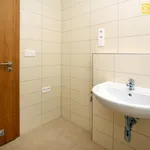 Rent 2 bedroom apartment of 59 m² in České Budějovice