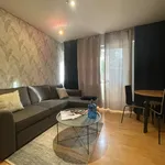 Rent 1 bedroom apartment in Paris