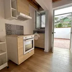 Rent 2 bedroom apartment of 75 m² in Palermo