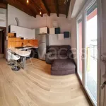 Rent 1 bedroom apartment of 45 m² in Milano