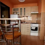 Rent 1 bedroom apartment of 28 m² in Radom