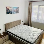 Rent 2 bedroom apartment of 55 m² in Brașov