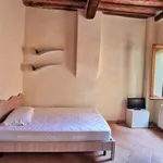 Rent 1 bedroom apartment of 30 m² in Siena