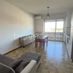 Rent 1 bedroom apartment of 45 m² in Piacenza