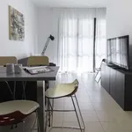 Rent 1 bedroom apartment of 42 m² in milan