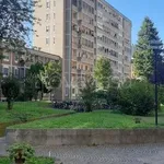 Rent 1 bedroom apartment of 55 m² in Milano