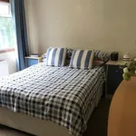 Rent 4 bedroom house in Canterbury