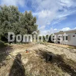 Rent 8 bedroom house of 215 m² in Montalto di Castro