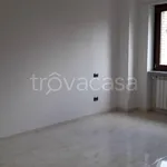 Rent 4 bedroom apartment of 90 m² in L'Aquila