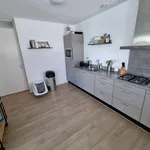 Rent 3 bedroom apartment of 54 m² in Indische buurt