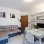 Rent 1 bedroom apartment in milan