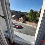 Rent 1 bedroom apartment of 45 m² in Prague